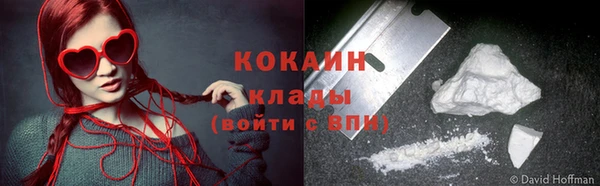 сатива Богданович