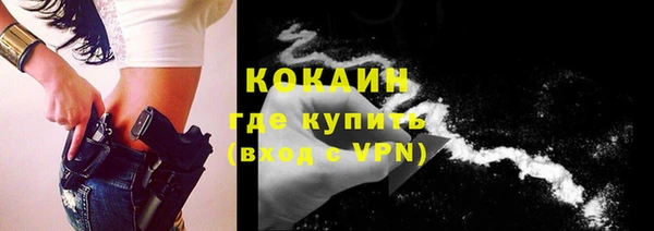 крисы Белокуриха