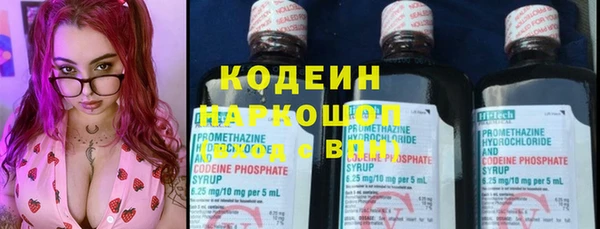 сатива Богданович