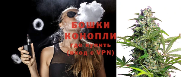 сатива Богданович