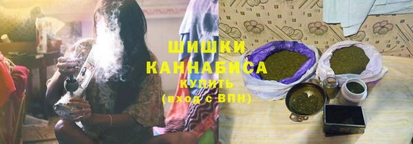 крисы Белокуриха
