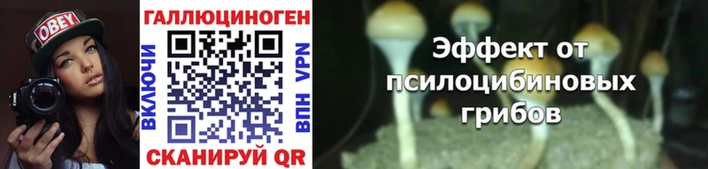 мориарти Telegram Сызрань Галлюциногенные грибы Psilocybe продажа наркотиков